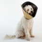 All Four Paws Collare Medico per Cani Comfy Cone Taglia XS 11 cm Tanno All Four Paws Collare Medico per Cani Comfy Cone Taglia XS 11 cm Tanno