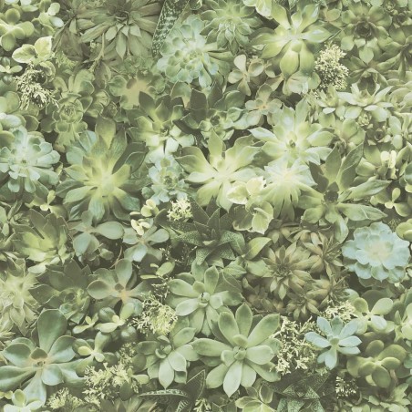 Evergreen Carta da Parati Succulent Verde e Beige