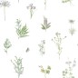 Evergreen Carta da Parati Herbs And Flowers Bianca