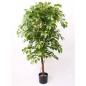 Emerald Ficus Benjamina Artificiale Deluxe 140 cm in Vaso Emerald Ficus Benjamina Artificiale Deluxe 140 cm in Vaso