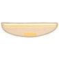 vidaXL Tappeti Adesivi Scale 15 pz 56x17x3 cm Beige Scuro vidaXL Tappeti Adesivi Scale 15 pz 56x17x3 cm Beige Scuro