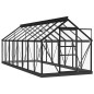 vidaXL Serra in Vetro Antracite 155x395,5x191 cm Telaio in Alluminio vidaXL Serra in Vetro Antracite 155x395,5x191 cm Telaio in Alluminio
