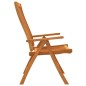vidaXL Sedie da Giardino Pieghevoli 2pz in Legno Massello di Eucalipto vidaXL Sedie da Giardino Pieghevoli 2pz in Legno Massello di Eucalipto