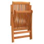 vidaXL Sedie da Giardino Pieghevoli 2pz in Legno Massello di Eucalipto vidaXL Sedie da Giardino Pieghevoli 2pz in Legno Massello di Eucalipto