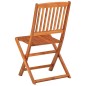 vidaXL Set Pranzo da Giardino 11 pz in Legno Massello di Acacia vidaXL Set Pranzo da Giardino 11 pz in Legno Massello di Acacia