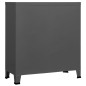 vidaXL Classificatore Industriale Antracite 90x40x100 cm in Acciaio vidaXL Classificatore Industriale Antracite 90x40x100 cm in Acciaio