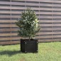 vidaXL Fioriera da Giardino Nera 31x31x31 cm Legno Massello di Pino