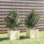 vidaXL Fioriere da Giardino 2 pz Bianche 31x31x31 cm Massello di Pino vidaXL Fioriere da Giardino 2 pz Bianche 31x31x31 cm Massello di Pino