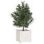 vidaXL Fioriere da Giardino 2 pz Bianche 31x31x31 cm Massello di Pino vidaXL Fioriere da Giardino 2 pz Bianche 31x31x31 cm Massello di Pino