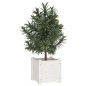 vidaXL Fioriera da Giardino Bianca 31x31x31 cm Legno Massello di Pino vidaXL Fioriera da Giardino Bianca 31x31x31 cm Legno Massello di Pino