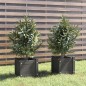 vidaXL Fioriere da Giardino 2 pz Grigie 31x31x31 cm in Legno di Pino vidaXL Fioriere da Giardino 2 pz Grigie 31x31x31 cm in Legno di Pino
