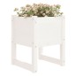 Fioriera Bianca 40x40x52,5 cm in Legno Massello di Pino Fioriera Bianca 40x40x52,5 cm in Legno Massello di Pino
