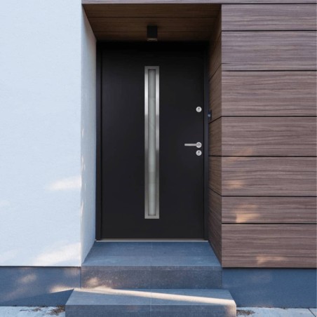 vidaXL Porta Ingresso Antracite 100x200 cm in Alluminio