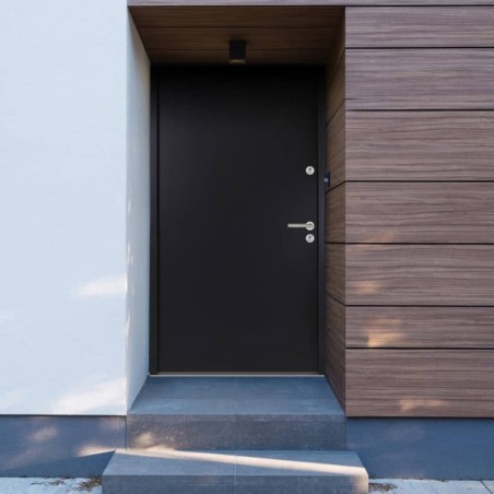 vidaXL Porta Ingresso Antracite 90x200 cm in Alluminio