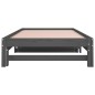 Dormeuse Estraibile Grigia 2x(90x200) cm Legno Massello di Pino Dormeuse Estraibile Grigia 2x(90x200) cm Legno Massello di Pino