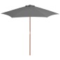 Ombrellone da Esterni con Palo in Legno 270 cm Antracite Ombrellone da Esterni con Palo in Legno 270 cm Antracite