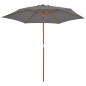 Ombrellone da Esterni con Palo in Legno 270 cm Antracite Ombrellone da Esterni con Palo in Legno 270 cm Antracite
