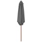 Ombrellone da Esterni con Palo in Legno 270 cm Antracite Ombrellone da Esterni con Palo in Legno 270 cm Antracite