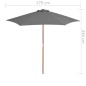 Ombrellone da Esterni con Palo in Legno 270 cm Antracite Ombrellone da Esterni con Palo in Legno 270 cm Antracite