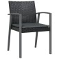 Set Pranzo da Giardino 3pz con Cuscini in Polyrattan e Acciaio