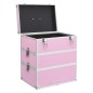 Valigia per Cosmetici 37x24x40 cm Rosa in Alluminio Valigia per Cosmetici 37x24x40 cm Rosa in Alluminio