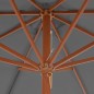 Ombrellone da Esterni con Palo in Legno 300 cm Antracite Ombrellone da Esterni con Palo in Legno 300 cm Antracite