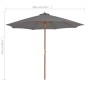 Ombrellone da Esterni con Palo in Legno 300 cm Antracite Ombrellone da Esterni con Palo in Legno 300 cm Antracite