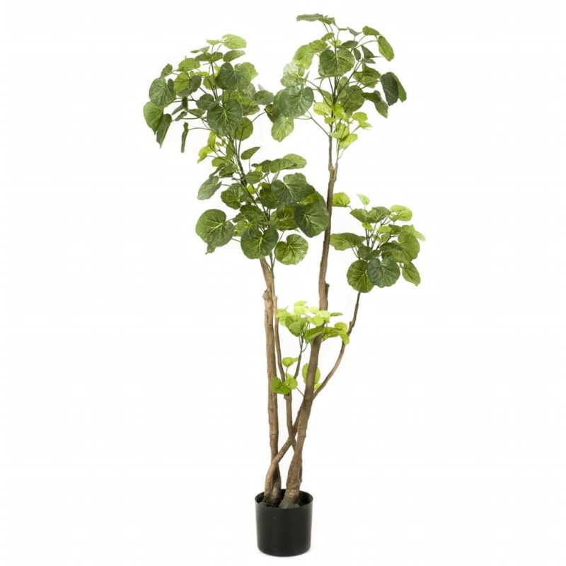 Emerald Albero di Polyscias Artificiale Verde 135 cm 420292 Emerald Albero di Polyscias Artificiale Verde 135 cm 420292