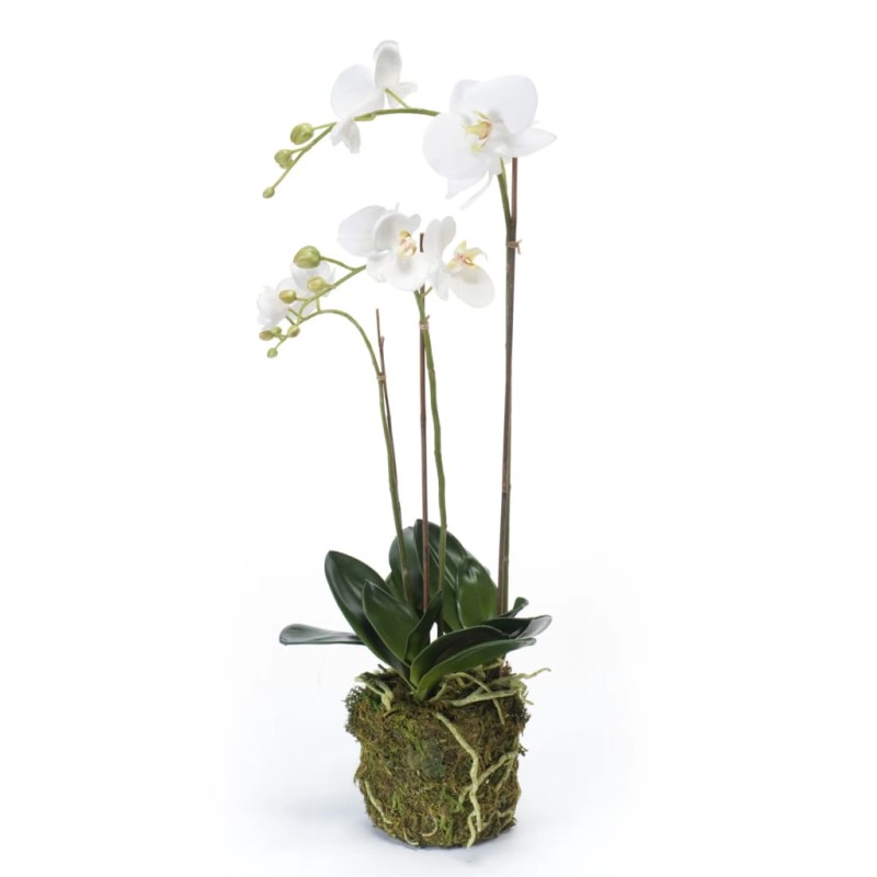 Emerald Orchidea Phalaenopsis Artificiale 70 cm Bianca Emerald Orchidea Phalaenopsis Artificiale 70 cm Bianca