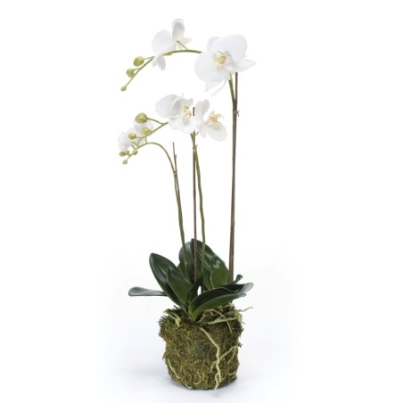  Emerald Orchidea Phalaenopsis Artificiale 70 cm Bianca
