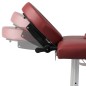 Lettino Pieghevole da Massaggio Rosso 4 Zone Telaio Alluminio Lettino Pieghevole da Massaggio Rosso 4 Zone Telaio Alluminio
