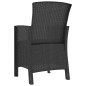 Sedia da Giardino con Cuscini 2 pz in Rattan PP Grafite Sedia da Giardino con Cuscini 2 pz in Rattan PP Grafite