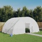 Serra con Telaio in Acciaio Bianco 24 m² 6x4x2,85 m Serra con Telaio in Acciaio Bianco 24 m² 6x4x2,85 m