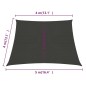vidaXL Vela Parasole 160 g/m² Antracite 4/5x4 m in HDPE vidaXL Vela Parasole 160 g/m² Antracite 4/5x4 m in HDPE