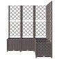 Fioriera da Giardino con Graticcio Marrone 120x120x136 cm in PP Fioriera da Giardino con Graticcio Marrone 120x120x136 cm in PP