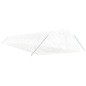 Serra con Telaio in Acciaio Bianco 100 m² 20x5x2,3 m Serra con Telaio in Acciaio Bianco 100 m² 20x5x2,3 m