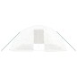 Serra con Telaio in Acciaio Bianco 30 m² 6x5x2,3 m Serra con Telaio in Acciaio Bianco 30 m² 6x5x2,3 m