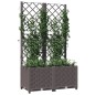 Fioriera da Giardino con Graticcio Marrone 80x40x136 cm in PP Fioriera da Giardino con Graticcio Marrone 80x40x136 cm in PP