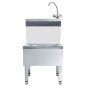 Lavandino Commerciale con Rubinetto da Pavimento Acciaio Inox Lavandino Commerciale con Rubinetto da Pavimento Acciaio Inox