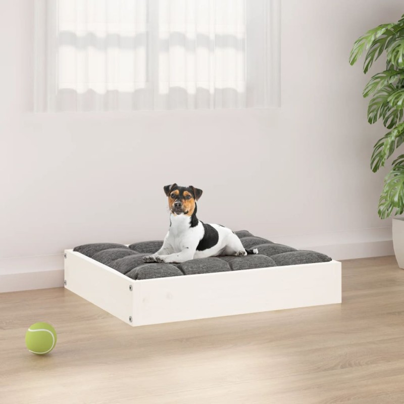 Cuccia per Cani Bianca 51,5x44x9 cm in Legno Massello di Pino Cuccia per Cani Bianca 51,5x44x9 cm in Legno Massello di Pino