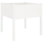 Fioriera da Giardino Bianca 70x70x70 cm Legno Massello di Pino Fioriera da Giardino Bianca 70x70x70 cm Legno Massello di Pino