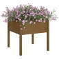 Fioriere da Giardino 2 pz Miele 70x70x70 cm in Massello di Pino Fioriere da Giardino 2 pz Miele 70x70x70 cm in Massello di Pino