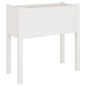 Fioriera da Giardino Bianca 70x31x70 cm Legno Massello di Pino Fioriera da Giardino Bianca 70x31x70 cm Legno Massello di Pino