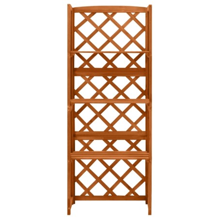 Graticcio con Ripiani 55x30x140 cm in Legno Massello di Abete