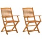 vidaXL Sedie da Giardino Pieghevoli 2pz in Legno Massello di Eucalipto vidaXL Sedie da Giardino Pieghevoli 2pz in Legno Massello di Eucalipto