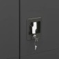 vidaXL Armadio con Ripiani Antracite 90x40x180 cm in Acciaio vidaXL Armadio con Ripiani Antracite 90x40x180 cm in Acciaio
