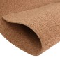vidaXL Rotolo di Sughero 100x200 cm 5 mm vidaXL Rotolo di Sughero 100x200 cm 5 mm