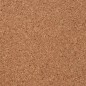 vidaXL Rotolo di Sughero 100x200 cm 5 mm vidaXL Rotolo di Sughero 100x200 cm 5 mm