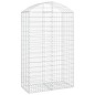vidaXL Cesto Gabbione ad Arco 100x50x160/180 cm Ferro Zincato vidaXL Cesto Gabbione ad Arco 100x50x160/180 cm Ferro Zincato