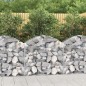 vidaXL Cesto Gabbione ad Arco 100x30x80/100 cm Ferro Zincato vidaXL Cesto Gabbione ad Arco 100x30x80/100 cm Ferro Zincato